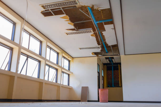 Best Commercial water damage restoration  in Panguitch, UT