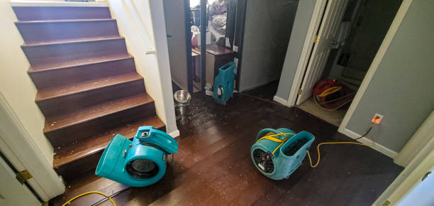 Best Emergency water damage restoration  in Panguitch, UT