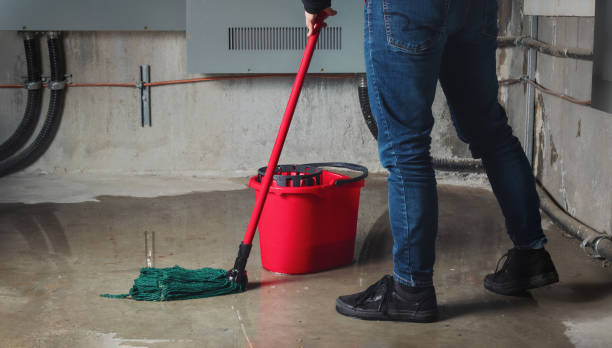Carpet water damage restoration in UT