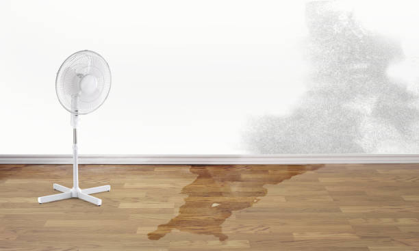 Sewage cleanup and water damage restoration in UT