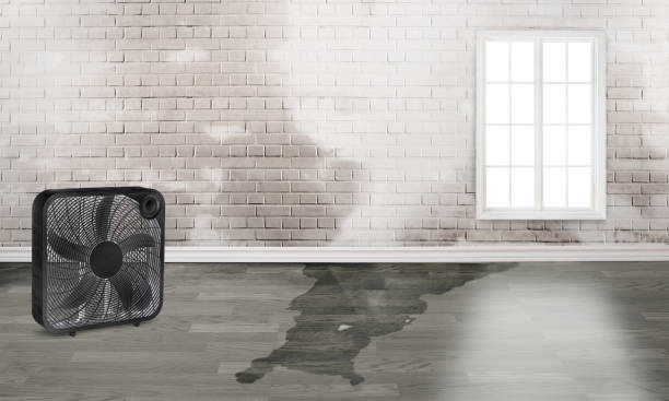 Best Flood restoration services  in Panguitch, UT