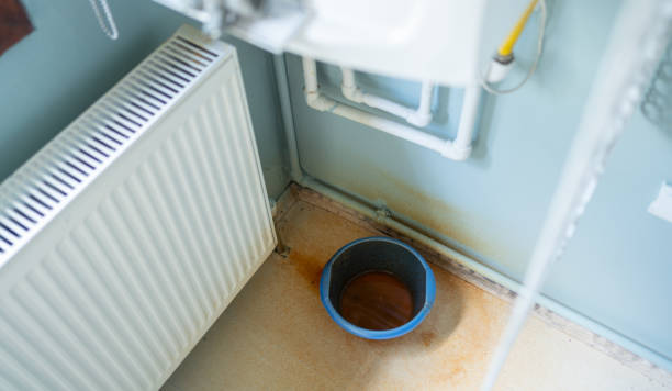 Best Ceiling water damage repair  in Panguitch, UT