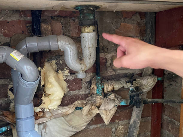 Best Mold removal after water damage  in Panguitch, UT
