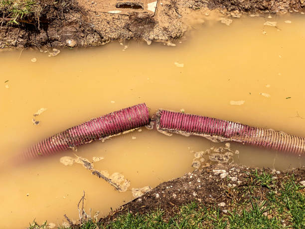 Best Sewage cleanup and water damage restoration  in Panguitch, UT