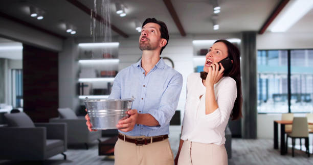  Panguitch, UT Water damage restoration Pros
